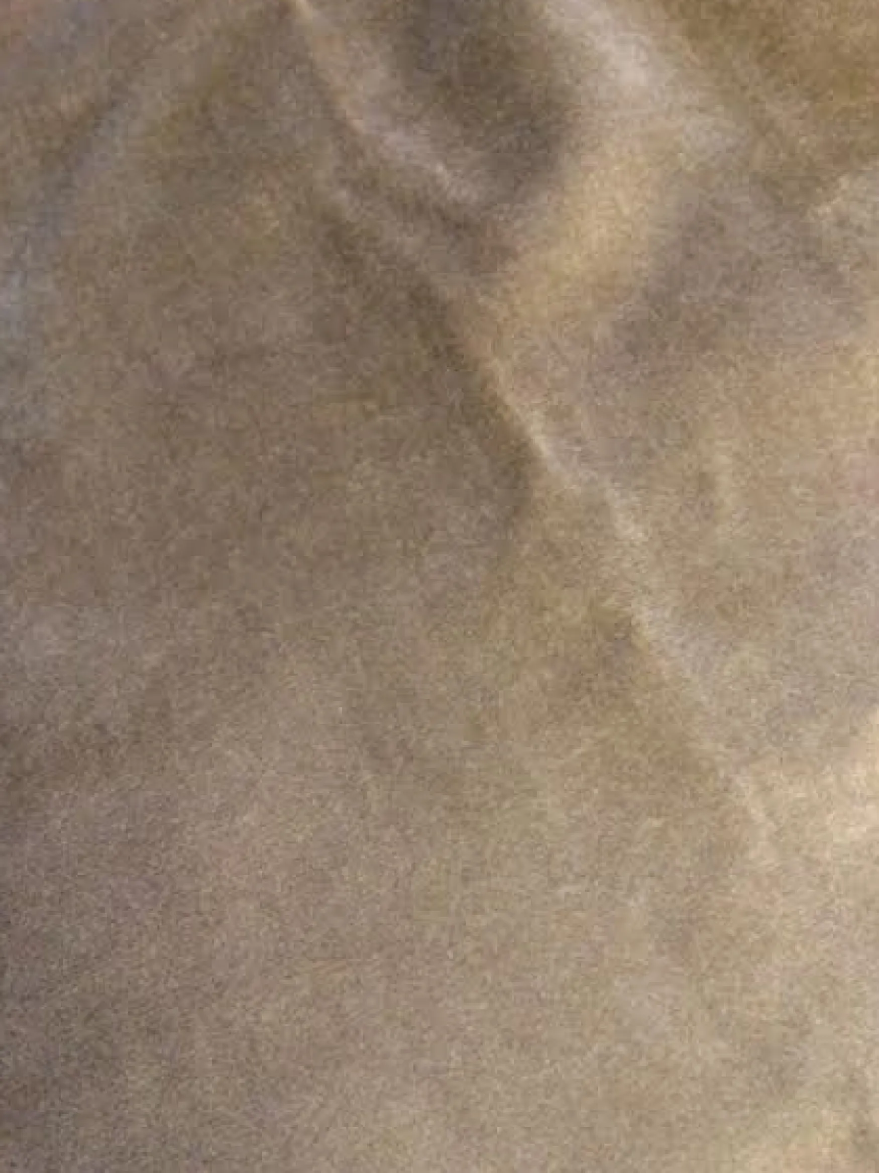 Sale Svanefors Elise 45x45, beige