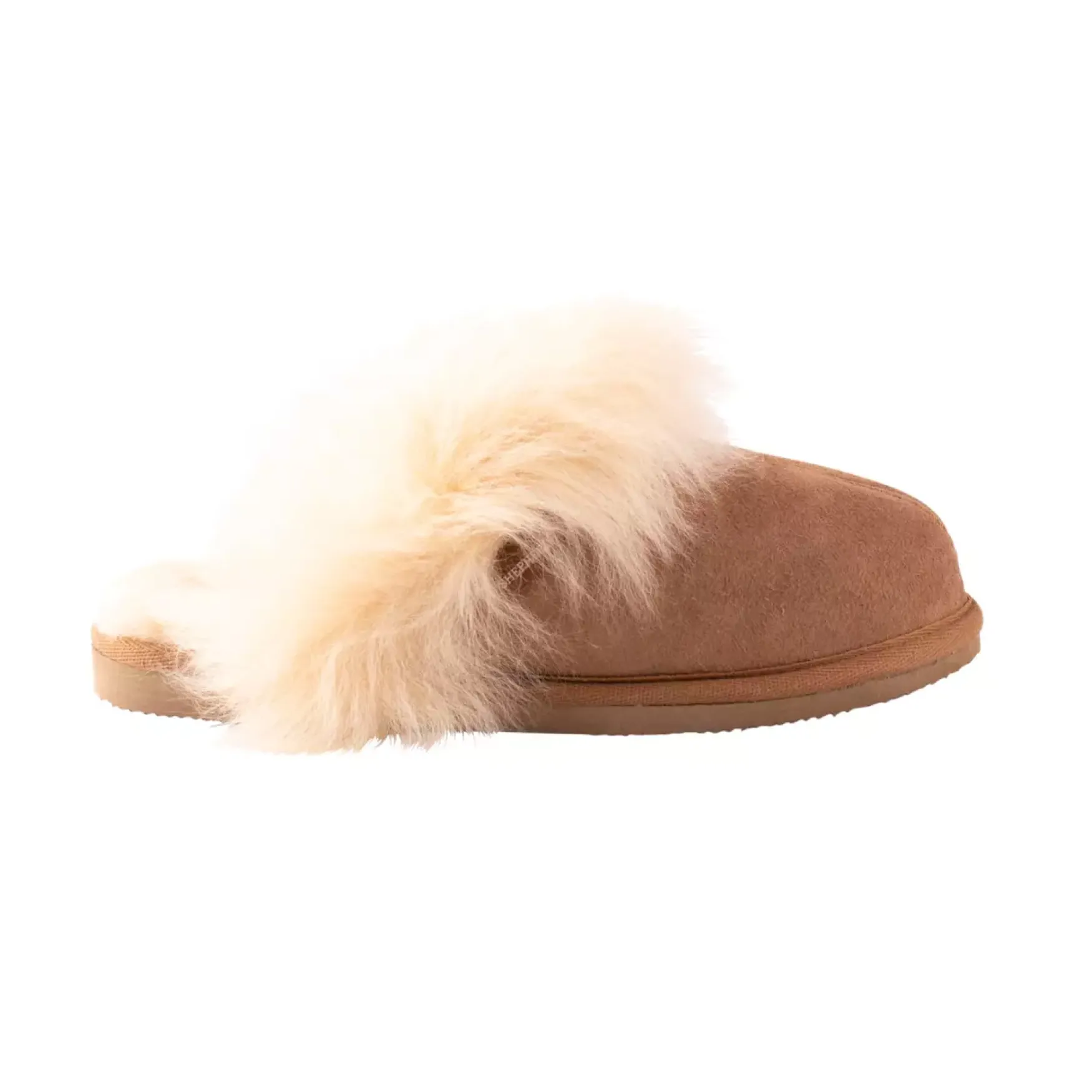 Hot Shepherd of Sweden Evelina, chestnut