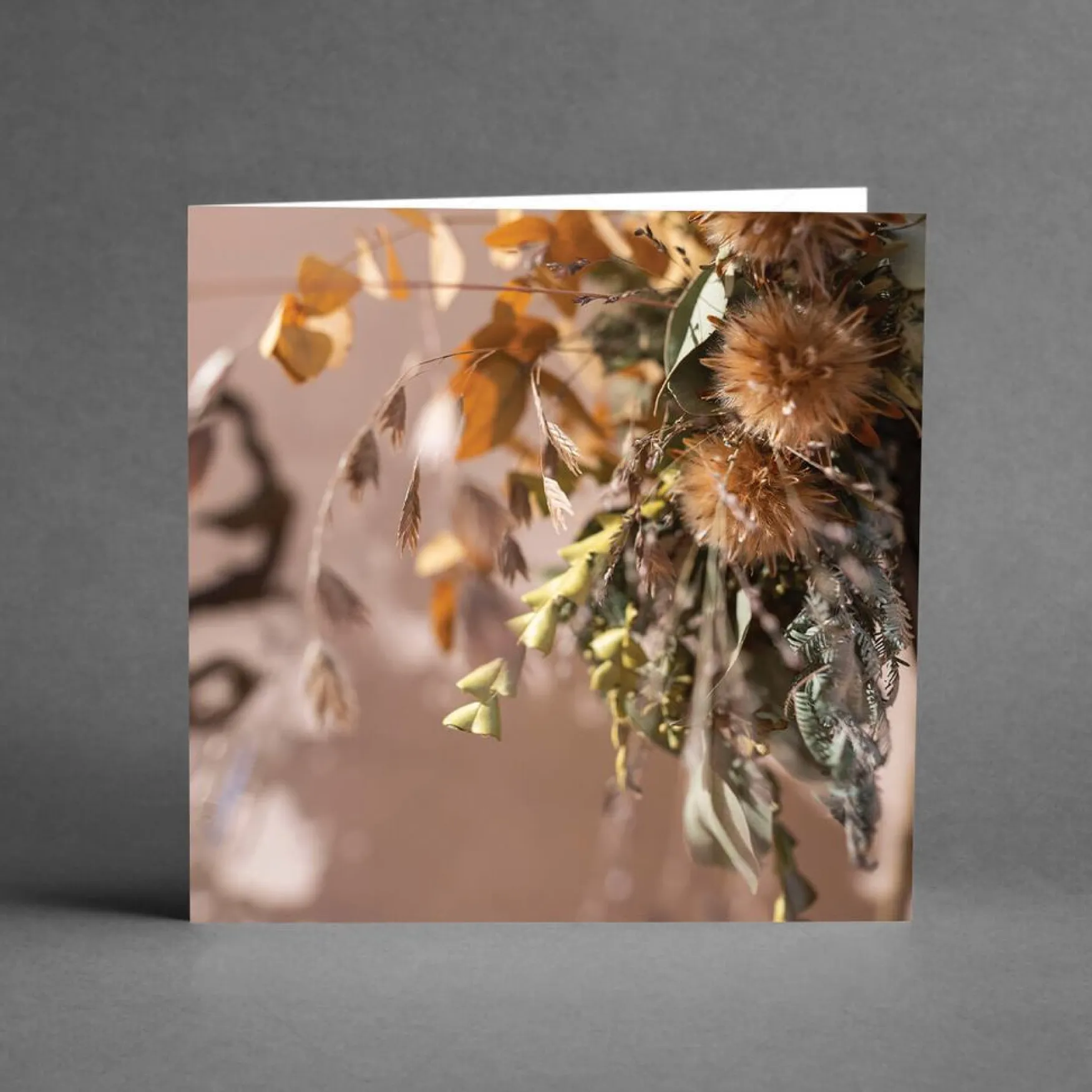 Sale Grande dried flowers